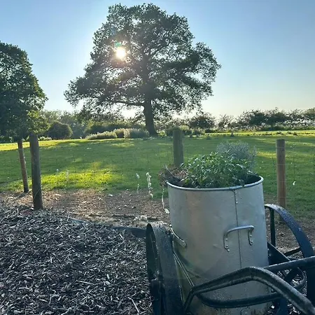 Feriehus The Coach House 1861